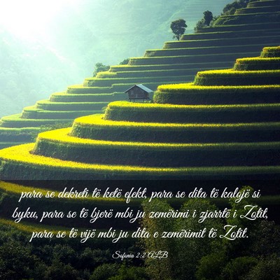 Picture 03 - Sofonia 2:2 ALB - para se dekreti të ketë efekt, para se dita të - Bible Verse Picture