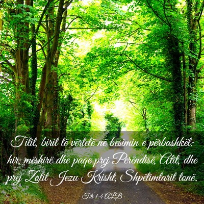 Picture 03 - Titi 1:4 ALB - Titit, birit të vërtetë në besimin e - Bible Verse Picture