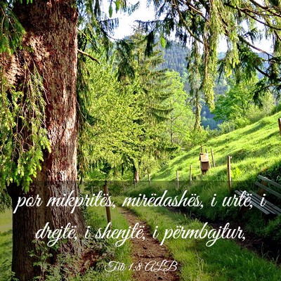 Picture 03 - Titi 1:8 ALB - por mikpritës, mirëdashës, i urtë, i drejtë, - Bible Verse Picture