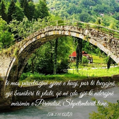 Picture 03 - Titi 2:10 ALB - të mos përvetësojnë gjënë e huaj, por të - Bible Verse Picture