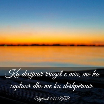 Picture 03 - Vajtimet 3:11 ALB - Ka devijuar rrugët e mia, më ka coptuar dhe më - Bible Verse Picture
