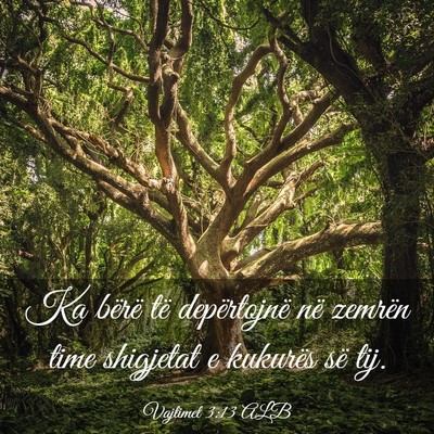 Picture 03 - Vajtimet 3:13 ALB - Ka bërë të depërtojnë në zemrën time - Bible Verse Picture