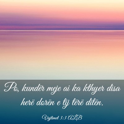 Picture 03 - Vajtimet 3:3 ALB - Po, kundër meje ai ka kthyer disa herë dorën e - Bible Verse Picture