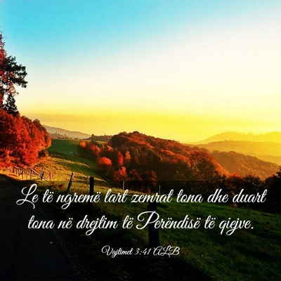 Picture 03 - Vajtimet 3:41 ALB - Le të ngremë lart zemrat tona dhe duart tona - Bible Verse Picture