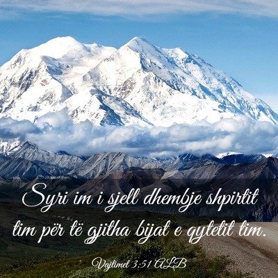 Picture 03 - Vajtimet 3:51 ALB - Syri im i sjell dhembje shpirtit tim për të - Bible Verse Picture