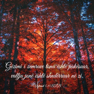 Picture 03 - Vajtimet 5:15 ALB - Gëzimi i zemrave tona është pakësuar, vallja - Bible Verse Picture