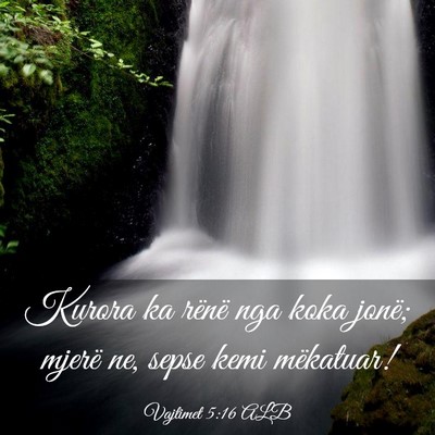 Picture 03 - Vajtimet 5:16 ALB - Kurora ka rënë nga koka jonë; mjerë ne, sepse - Bible Verse Picture
