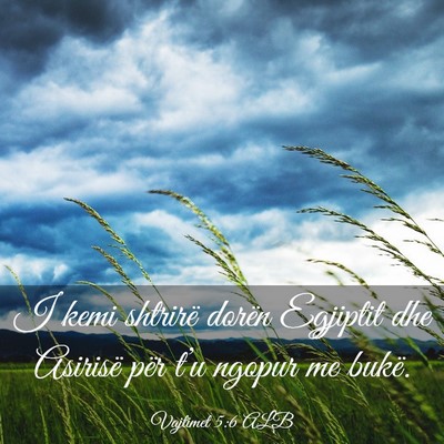 Picture 03 - Vajtimet 5:6 ALB - I kemi shtrirë dorën Egjiptit dhe Asirisë për - Bible Verse Picture