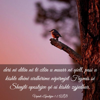 Picture 03 - Veprat e Apostujve 1:2 ALB - deri në ditën në të cilën u muarr në qiell, - Bible Verse Picture