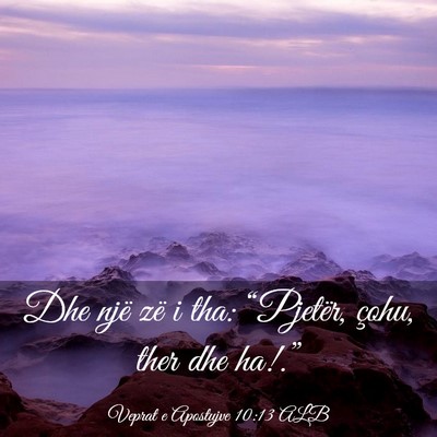 Picture 03 - Veprat e Apostujve 10:13 ALB - Dhe një zë i tha: “Pjetër, çohu, ther dhe - Bible Verse Picture