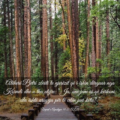 Picture 03 - Veprat e Apostujve 10:21 ALB - Atëherë Pjetri zbriti te njerëzit që i ishin - Bible Verse Picture