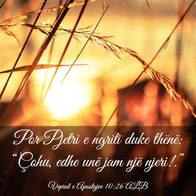 Picture 03 - Veprat e Apostujve 10:26 ALB - Por Pjetri e ngriti duke thënë: “Çohu, edhe - Bible Verse Picture