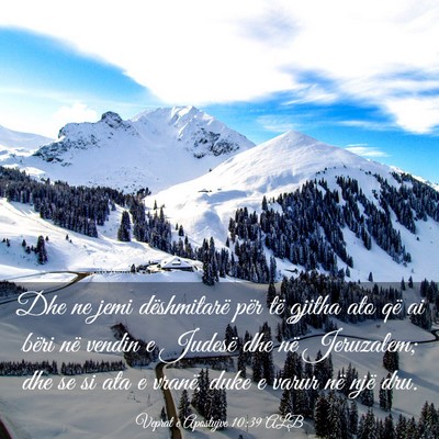 Picture 03 - Veprat e Apostujve 10:39 ALB - Dhe ne jemi dëshmitarë për të gjitha ato që - Bible Verse Picture