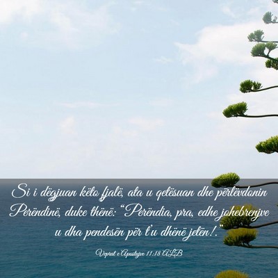 Picture 03 - Veprat e Apostujve 11:18 ALB - Si i dëgjuan këto fjalë, ata u qetësuan dhe - Bible Verse Picture