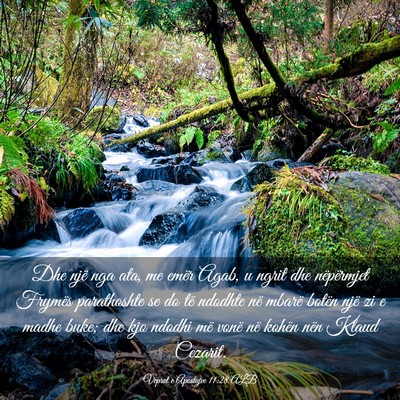 Picture 03 - Veprat e Apostujve 11:28 ALB - Dhe një nga ata, me emër Agab, u ngrit dhe - Bible Verse Picture