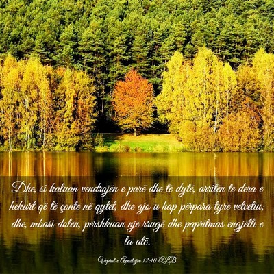 Picture 03 - Veprat e Apostujve 12:10 ALB - Dhe, si kaluan vendrojën e parë dhe të dytë, - Bible Verse Picture