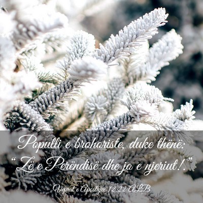 Picture 03 - Veprat e Apostujve 12:22 ALB - Populli e brohoriste, duke thënë: “Zë e - Bible Verse Picture