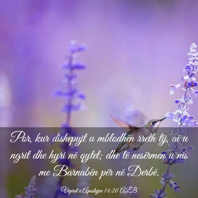 Picture 03 - Veprat e Apostujve 14:20 ALB - Por, kur dishepujt u mblodhën rreth tij, ai u - Bible Verse Picture