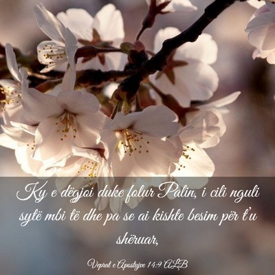Picture 03 - Veprat e Apostujve 14:9 ALB - Ky e dëgjoi duke folur Palin, i cili nguli sytë - Bible Verse Picture