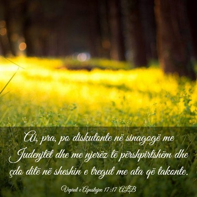 Picture 03 - Veprat e Apostujve 17:17 ALB - Ai, pra, po diskutonte në sinagogë me - Bible Verse Picture