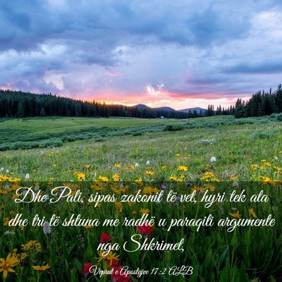 Picture 03 - Veprat e Apostujve 17:2 ALB - Dhe Pali, sipas zakonit të vet, hyri tek ata dhe - Bible Verse Picture