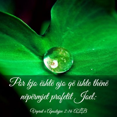 Picture 03 - Veprat e Apostujve 2:16 ALB - Por kjo është ajo që ishte thënë nëpërmjet - Bible Verse Picture