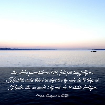Picture 03 - Veprat e Apostujve 2:31 ALB - dhe, duke parashikuar këtë, foli për - Bible Verse Picture