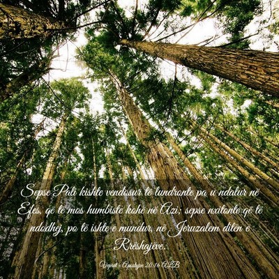 Picture 03 - Veprat e Apostujve 20:16 ALB - Sepse Pali kishte vendosur të lundronte pa u - Bible Verse Picture