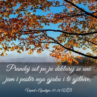Picture 03 - Veprat e Apostujve 20:26 ALB - Prandaj sot po ju deklaroj se unë jam i pastër - Bible Verse Picture
