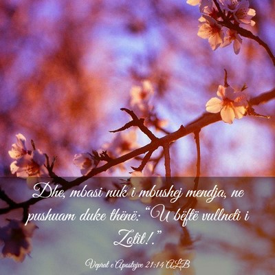 Picture 03 - Veprat e Apostujve 21:14 ALB - Dhe, mbasi nuk i mbushej mendja, ne pushuam duke - Bible Verse Picture