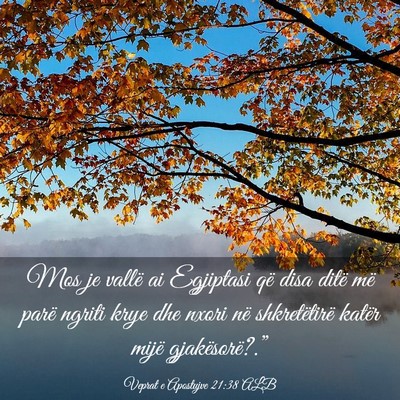 Picture 03 - Veprat e Apostujve 21:38 ALB - Mos je vallë ai Egjiptasi që disa ditë më - Bible Verse Picture