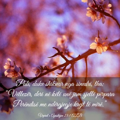 Picture 03 - Veprat e Apostujve 23:1 ALB - Pali, duke shikuar nga sinedri, tha: - Bible Verse Picture
