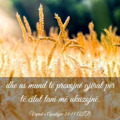 Picture 03 - Veprat e Apostujve 24:13 ALB - dhe as mund të provojnë gjërat për të cilat - Bible Verse Picture