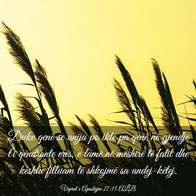 Picture 03 - Veprat e Apostujve 27:15 ALB - Duke qenë se anija po ikte pa qenë në gjendje - Bible Verse Picture