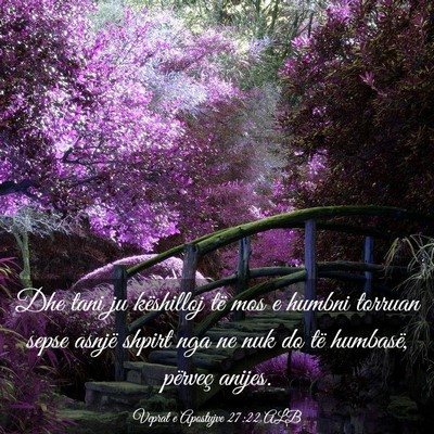 Picture 03 - Veprat e Apostujve 27:22 ALB - Dhe tani ju këshilloj të mos e humbni torruan - Bible Verse Picture