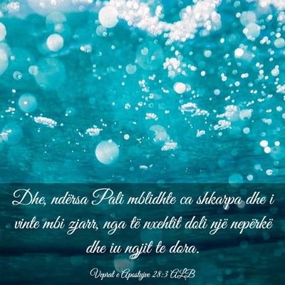 Picture 03 - Veprat e Apostujve 28:3 ALB - Dhe, ndërsa Pali mblidhte ca shkarpa dhe i vinte - Bible Verse Picture