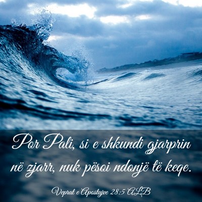 Picture 03 - Veprat e Apostujve 28:5 ALB - Por Pali, si e shkundi gjarprin në zjarr, nuk - Bible Verse Picture