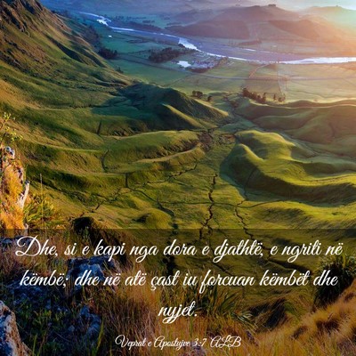 Picture 03 - Veprat e Apostujve 3:7 ALB - Dhe, si e kapi nga dora e djathtë, e ngriti në - Bible Verse Picture