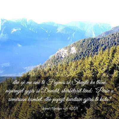 Picture 03 - Veprat e Apostujve 4:25 ALB - dhe që me anë të Frymës së Shenjtë ke - Bible Verse Picture