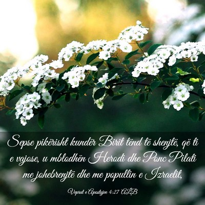 Picture 03 - Veprat e Apostujve 4:27 ALB - Sepse pikërisht kundër Birit tënd të - Bible Verse Picture