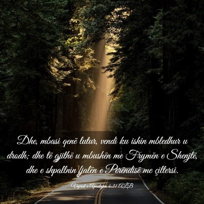 Picture 03 - Veprat e Apostujve 4:31 ALB - Dhe, mbasi qenë lutur, vendi ku ishin mbledhur u - Bible Verse Picture
