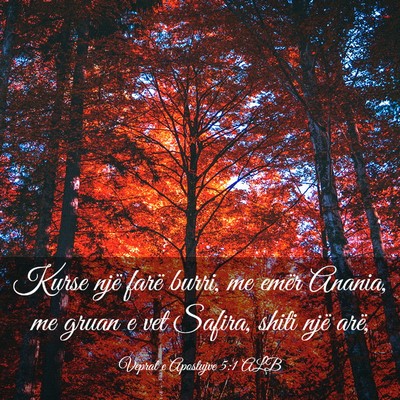 Picture 03 - Veprat e Apostujve 5:1 ALB - Kurse një farë burri, me emër Anania, me gruan - Bible Verse Picture
