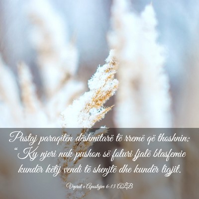 Picture 03 - Veprat e Apostujve 6:13 ALB - Pastaj paraqitën dëshmitarë të rremë që - Bible Verse Picture