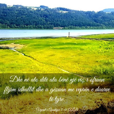 Picture 03 - Veprat e Apostujve 7:41 ALB - Dhe në ato ditë ata bënë një viç, i ofruan - Bible Verse Picture