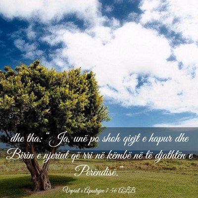 Picture 03 - Veprat e Apostujve 7:56 ALB - dhe tha: “Ja, unë po shoh qiejt e hapur dhe - Bible Verse Picture