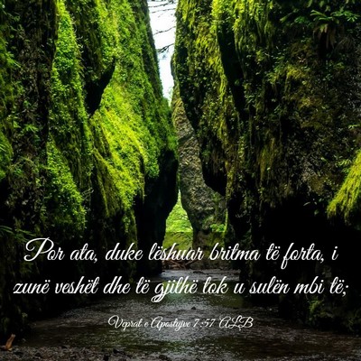Picture 03 - Veprat e Apostujve 7:57 ALB - Por ata, duke lëshuar britma të forta, i zunë - Bible Verse Picture