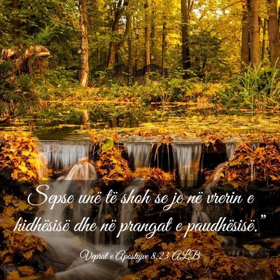 Picture 03 - Veprat e Apostujve 8:23 ALB - Sepse unë të shoh se je në vrerin e - Bible Verse Picture