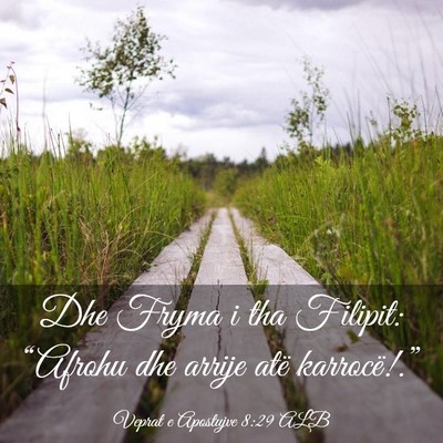 Picture 03 - Veprat e Apostujve 8:29 ALB - Dhe Fryma i tha Filipit: “Afrohu dhe arrije - Bible Verse Picture