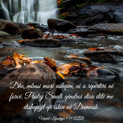 Picture 03 - Veprat e Apostujve 9:19 ALB - Dhe, mbasi mori ushqim, ai u ripërtëri në - Bible Verse Picture