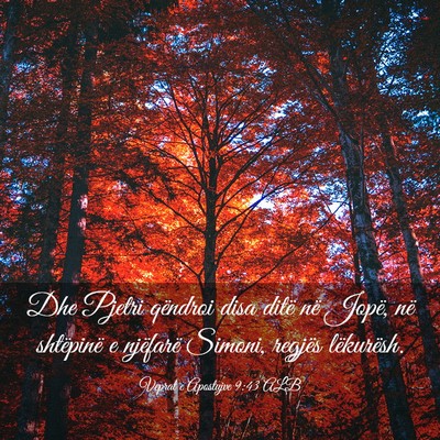 Picture 03 - Veprat e Apostujve 9:43 ALB - Dhe Pjetri qëndroi disa ditë në Jopë, në - Bible Verse Picture